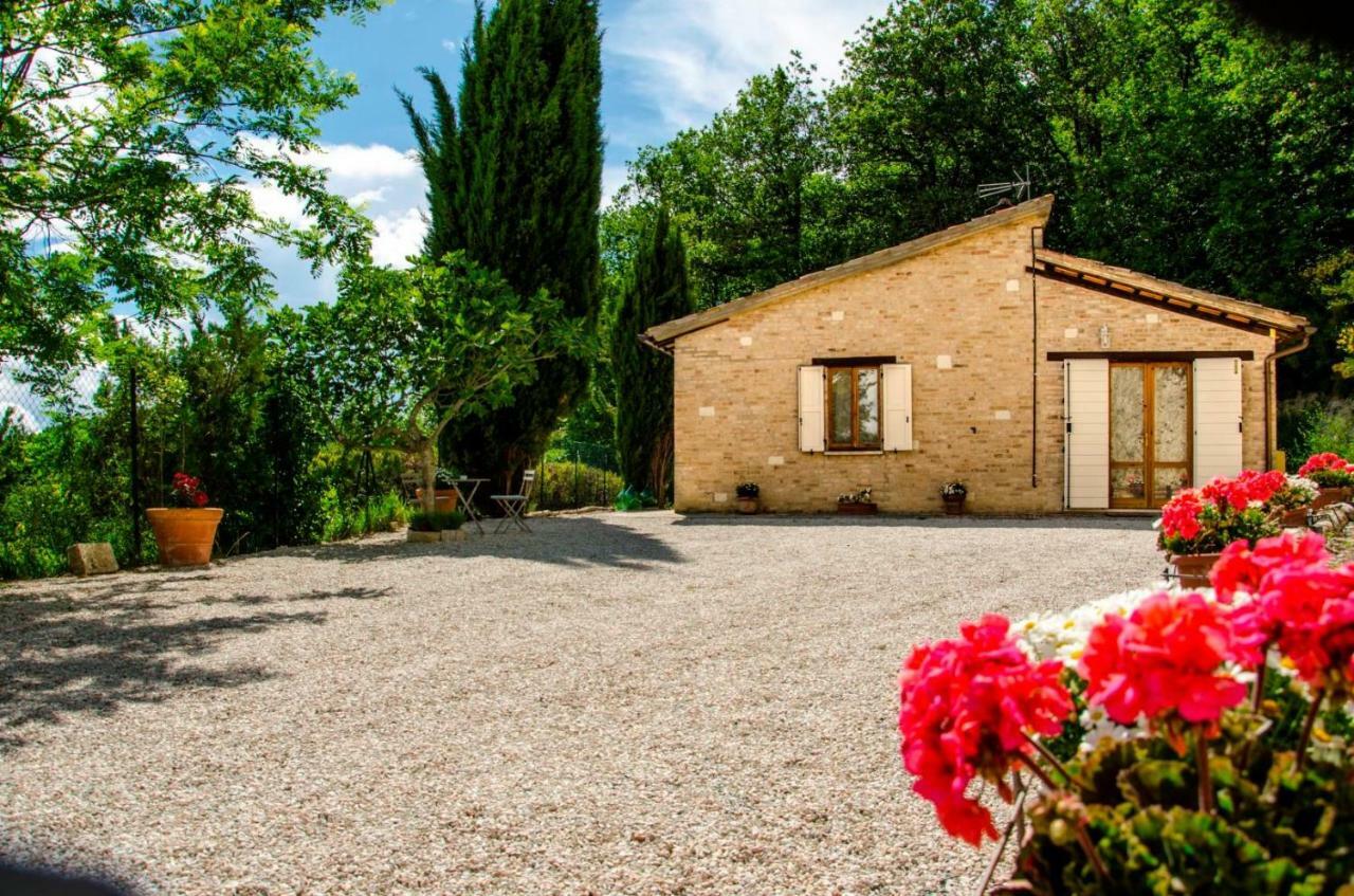 Calmancino Delle Selve Bed and Breakfast Ουρμπίνο Εξωτερικό φωτογραφία