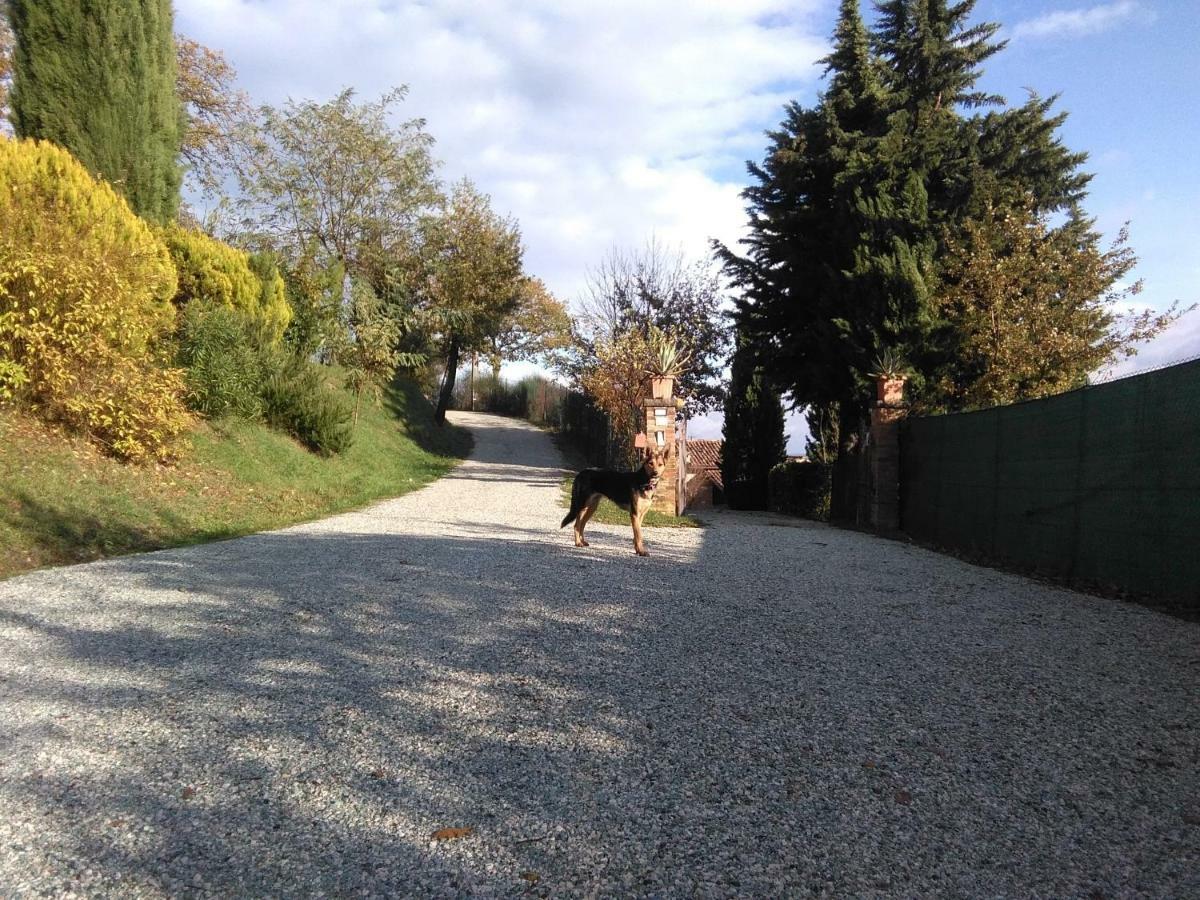Calmancino Delle Selve Bed and Breakfast Ουρμπίνο Εξωτερικό φωτογραφία